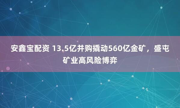 安鑫宝配资 13.5亿并购撬动560亿金矿，盛屯矿业高风险博弈